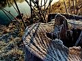 adda (11)